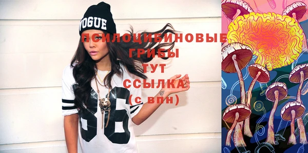 дживик Киреевск