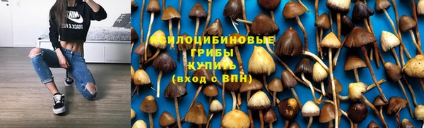 дживик Киреевск